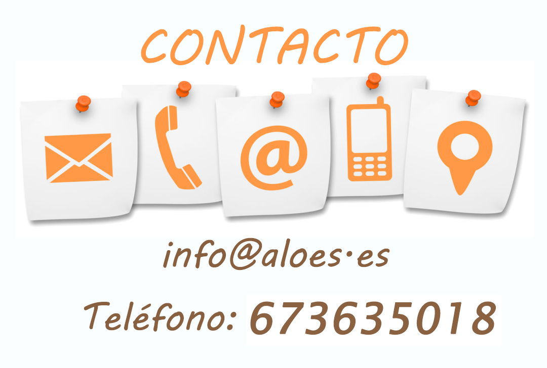 Contacto